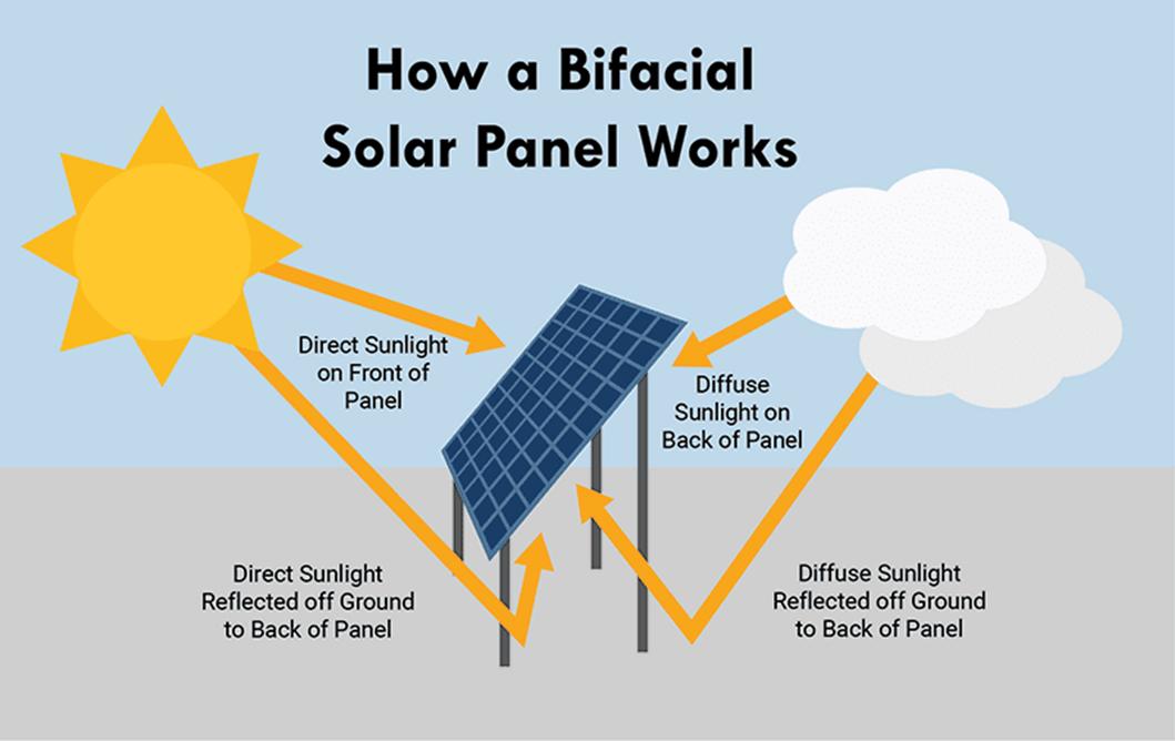 Infographic showing how a bifacial solar panel uses direct and diffuse sunlight on front and back with light arrows.